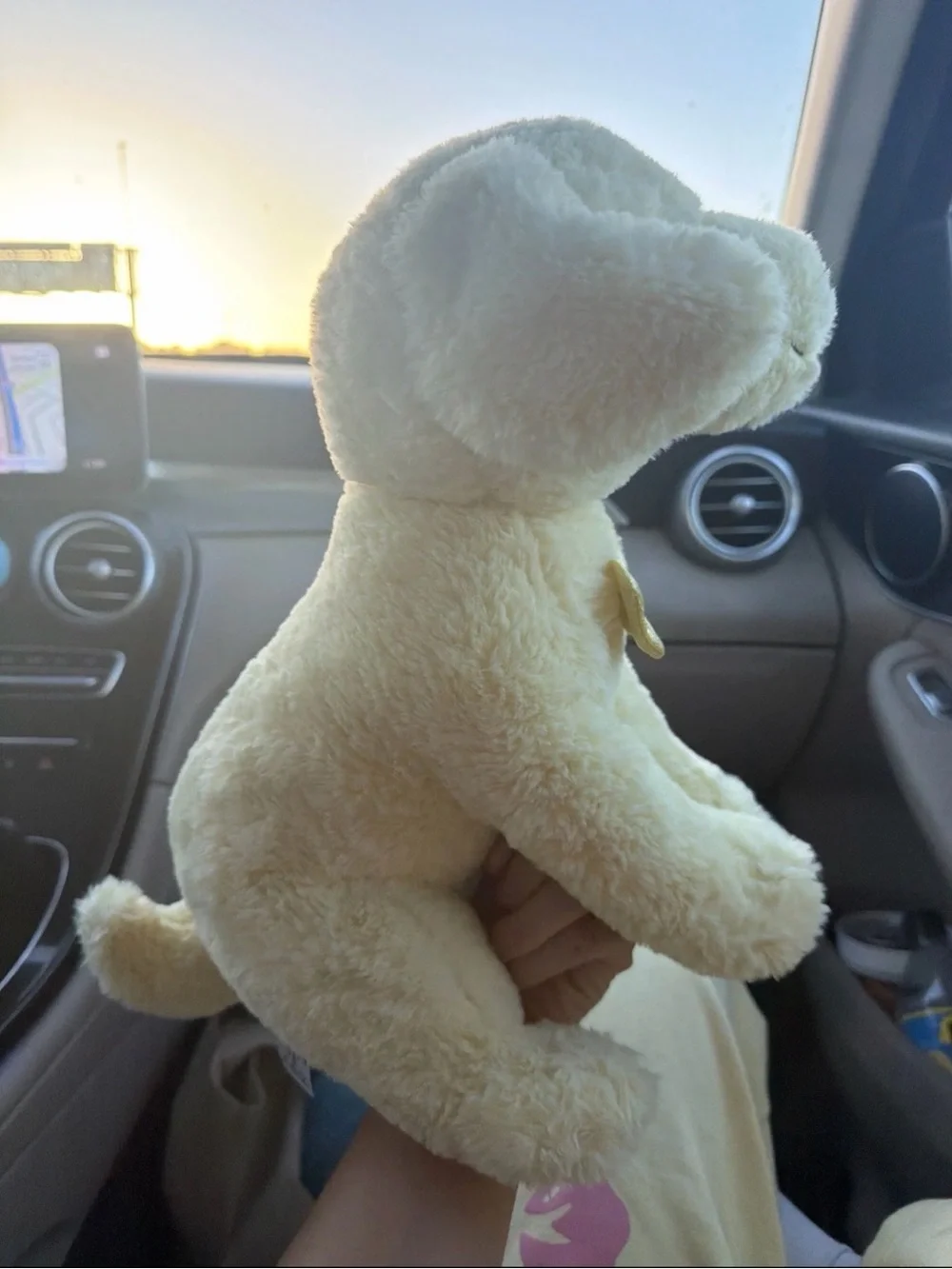 Rare F.A.O Schwarz Golden Retriever Dog Plush Toy With Bow. Great condition!